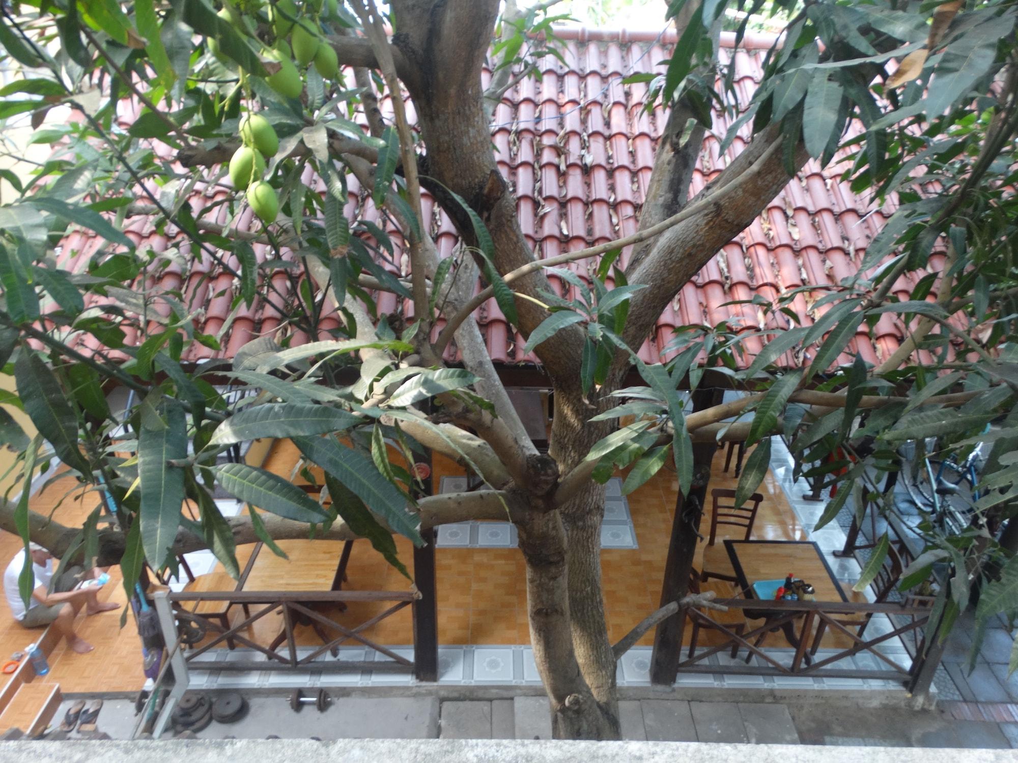 Yellow House Homestay Hoi An Bagian luar foto