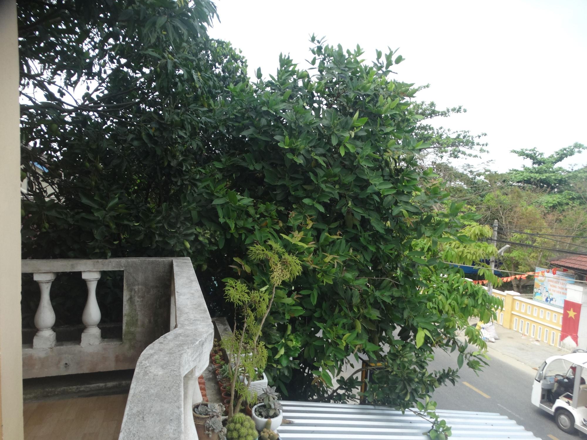 Yellow House Homestay Hoi An Bagian luar foto