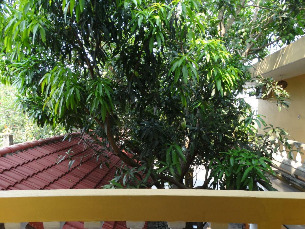 Yellow House Homestay Hoi An Bagian luar foto