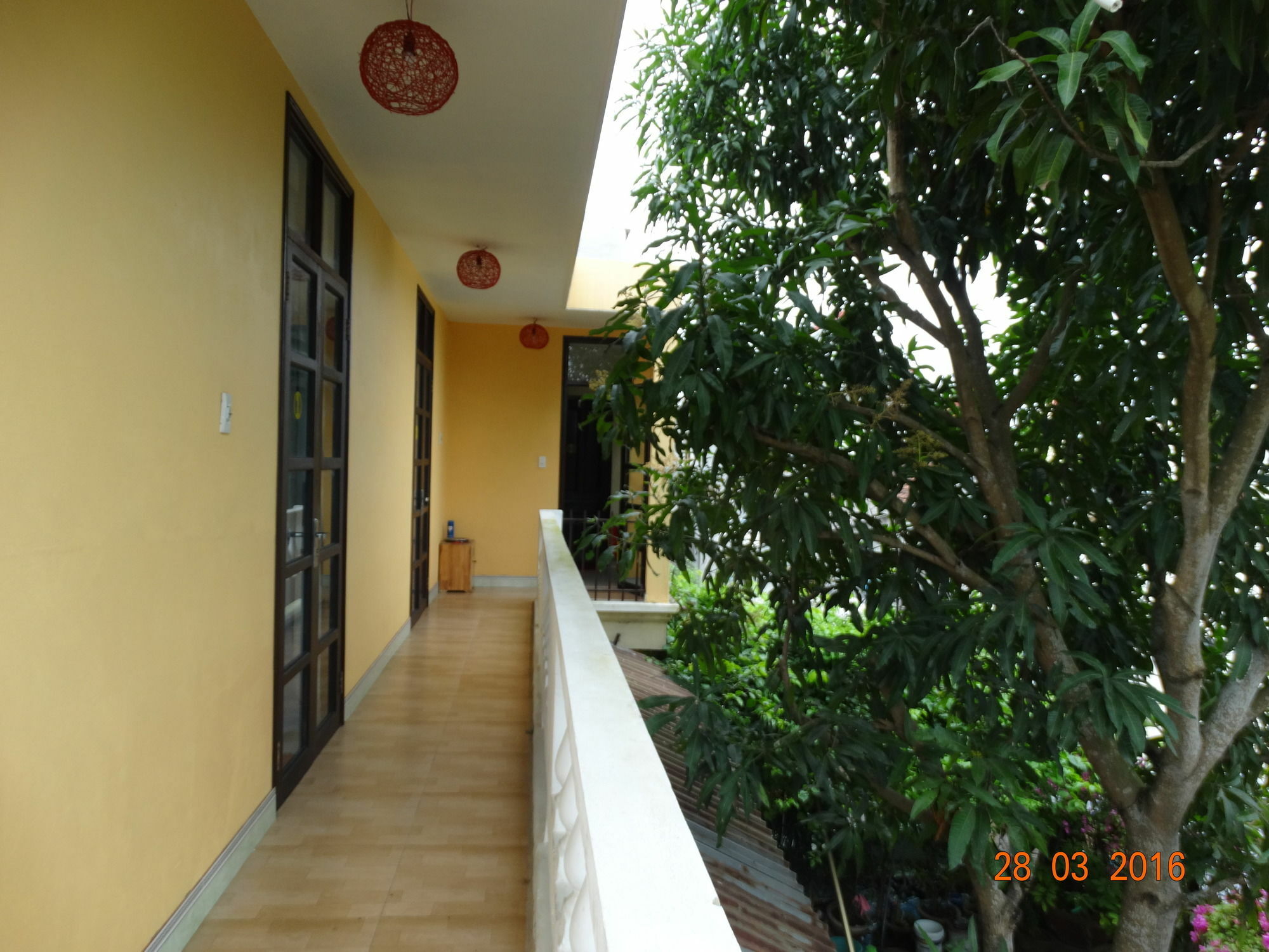 Yellow House Homestay Hoi An Bagian luar foto